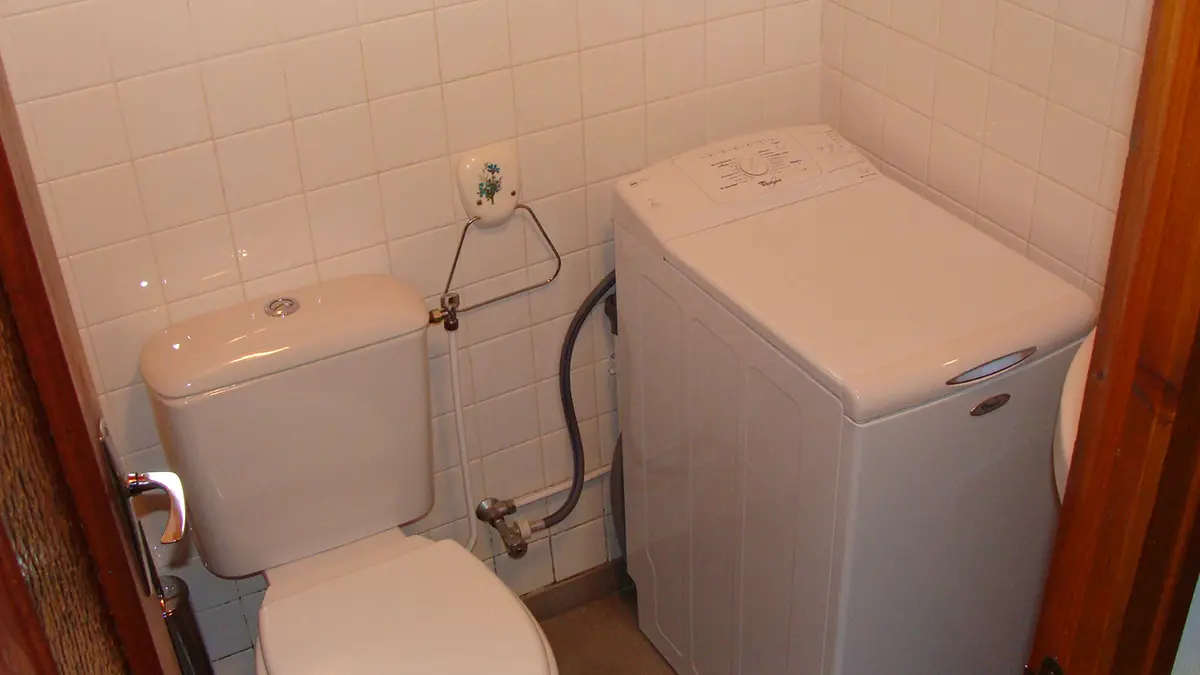 Coin de salle de bains avec toilettes et machine à laver, mur et sol carrelés