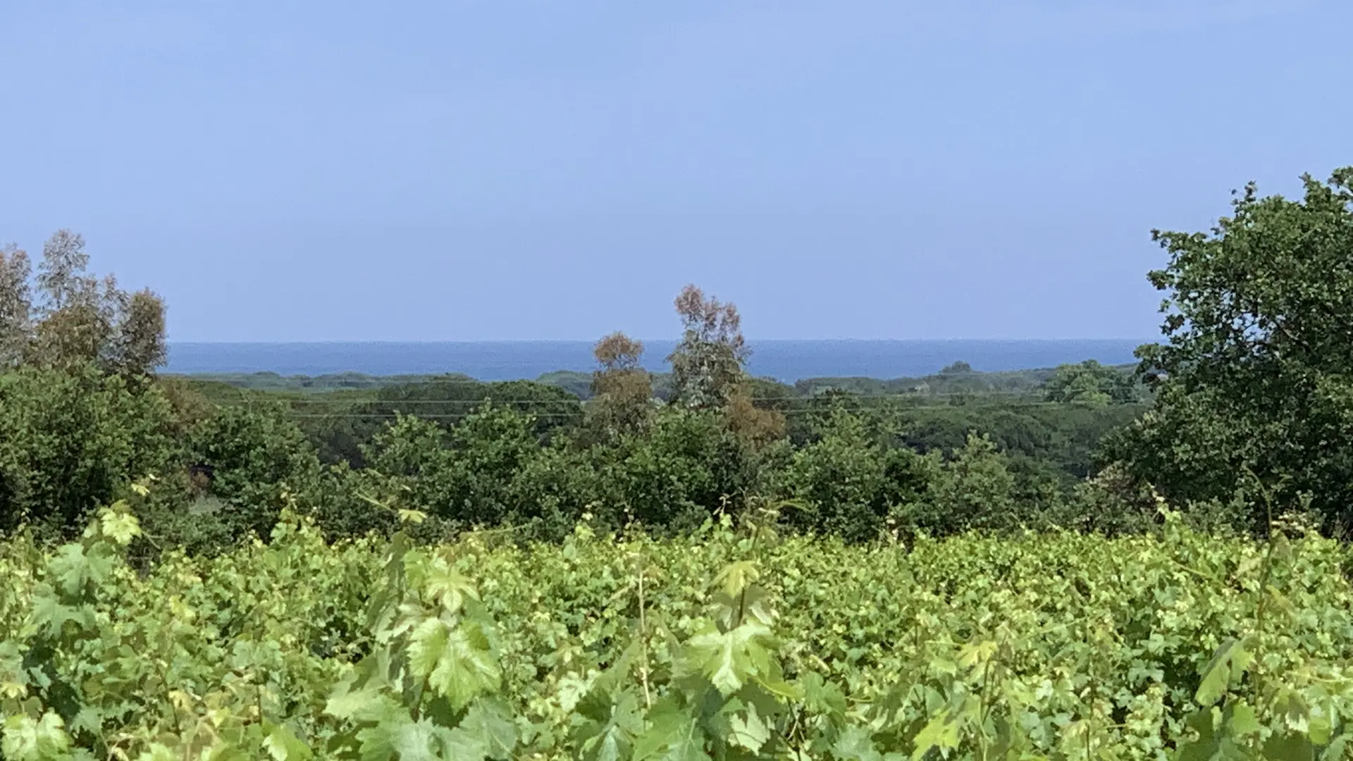 Clos des B