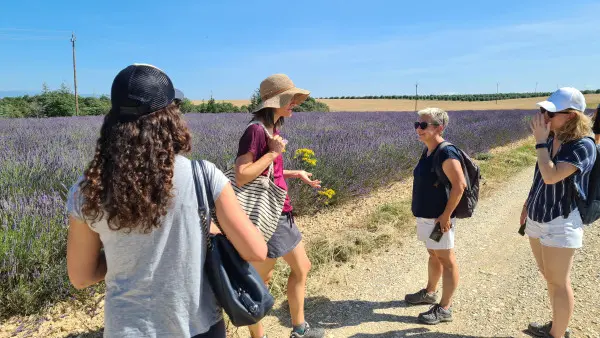 Visit winery and lavender farm