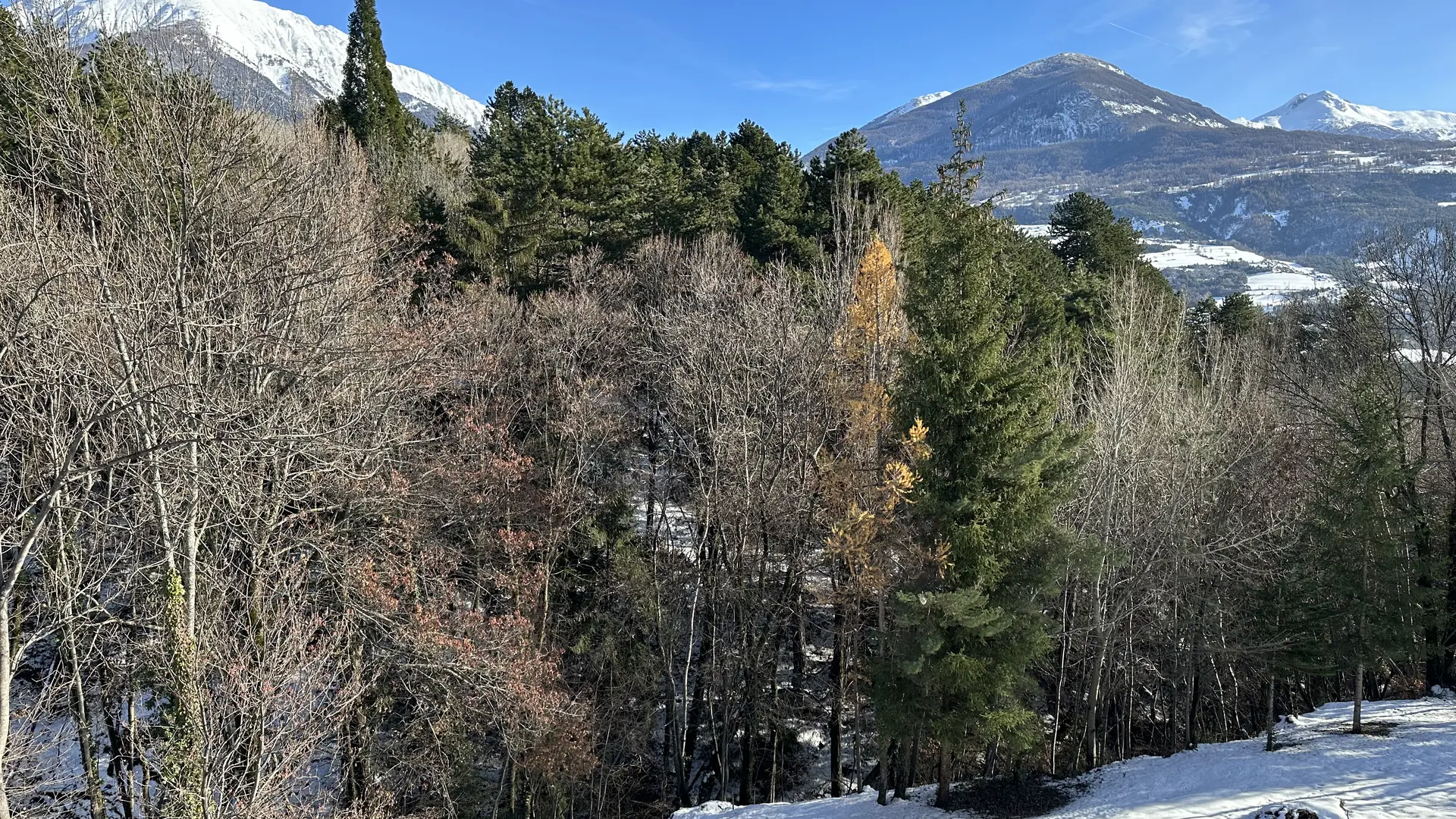 Vue du balcon