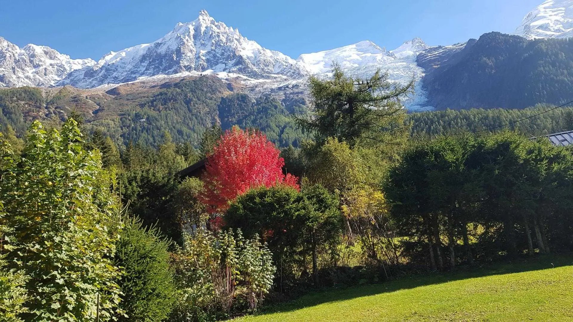 Vue du jardin en automne