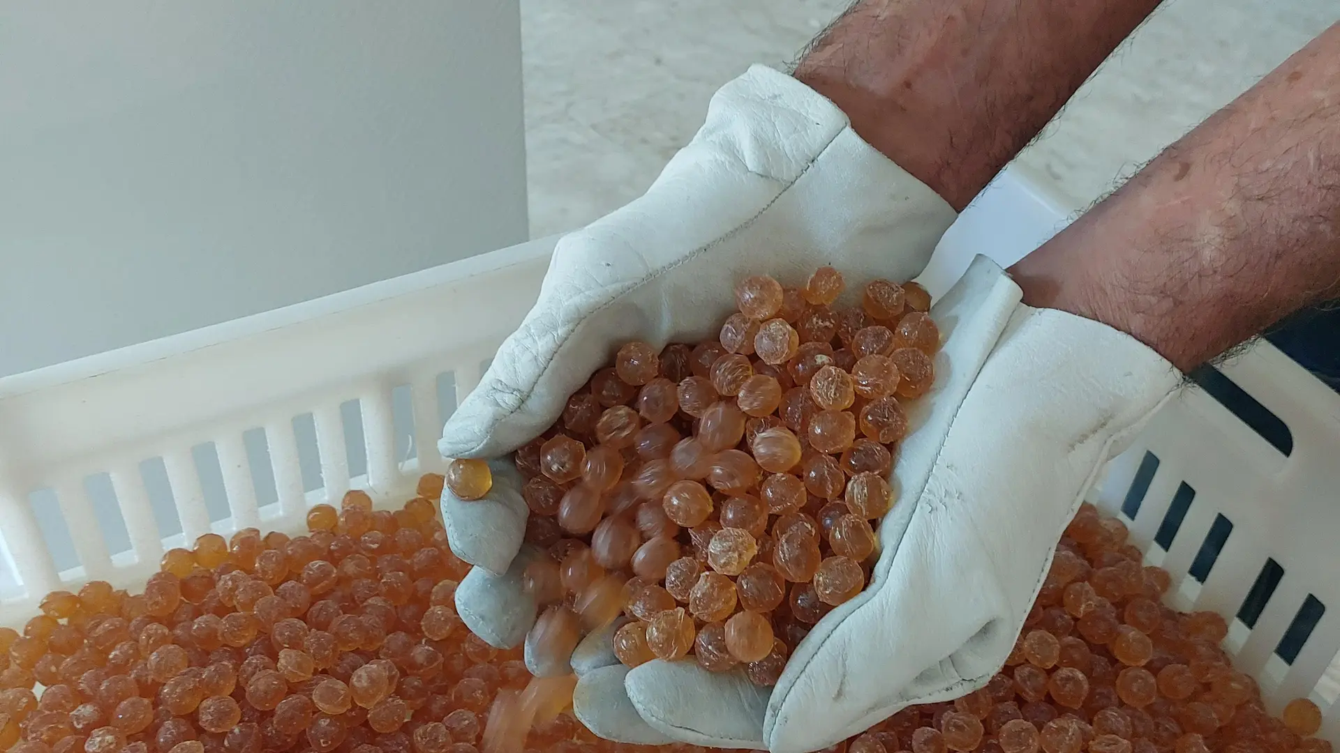 Visite de la confiserie et miellerie des ours_Saint-Jean-Saint-Nicolas