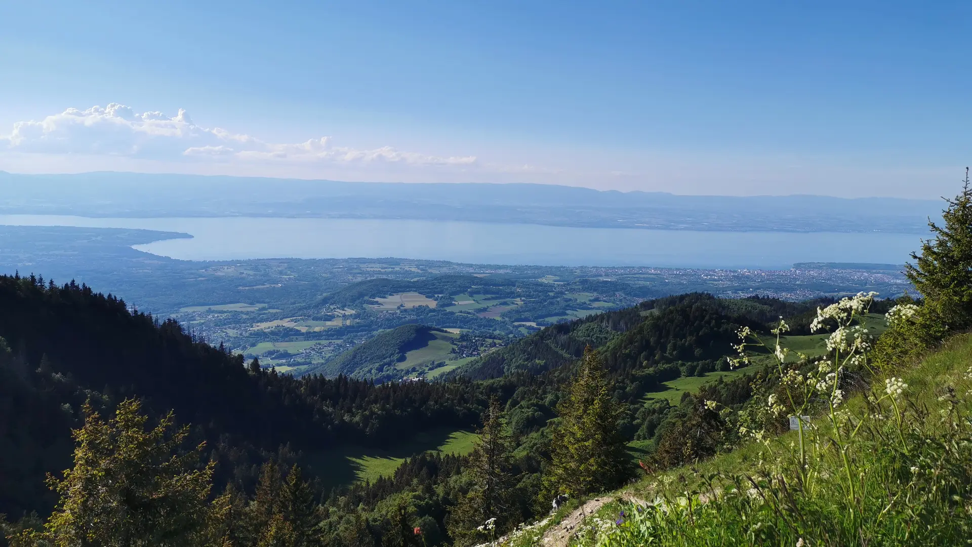 vue sur le lac Léman