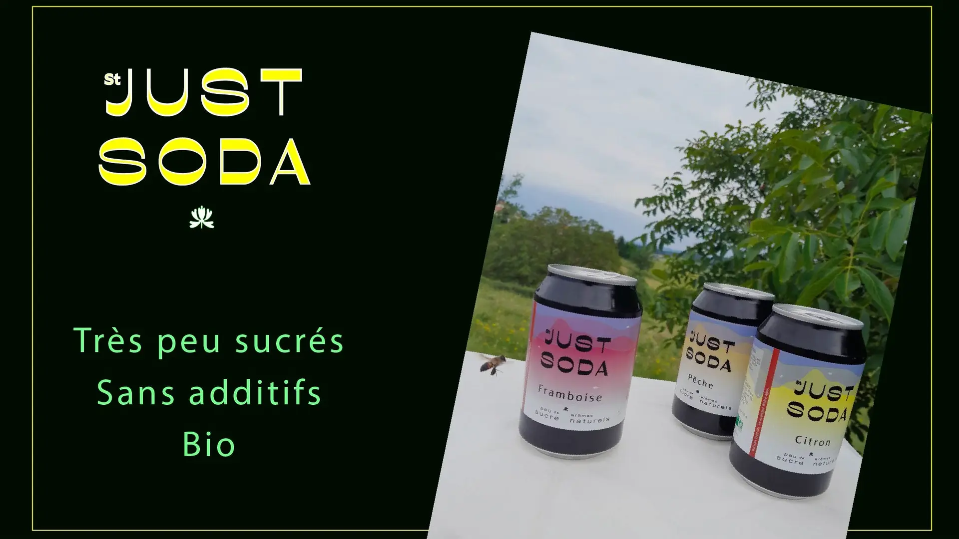 Les Boissons de l'Aube