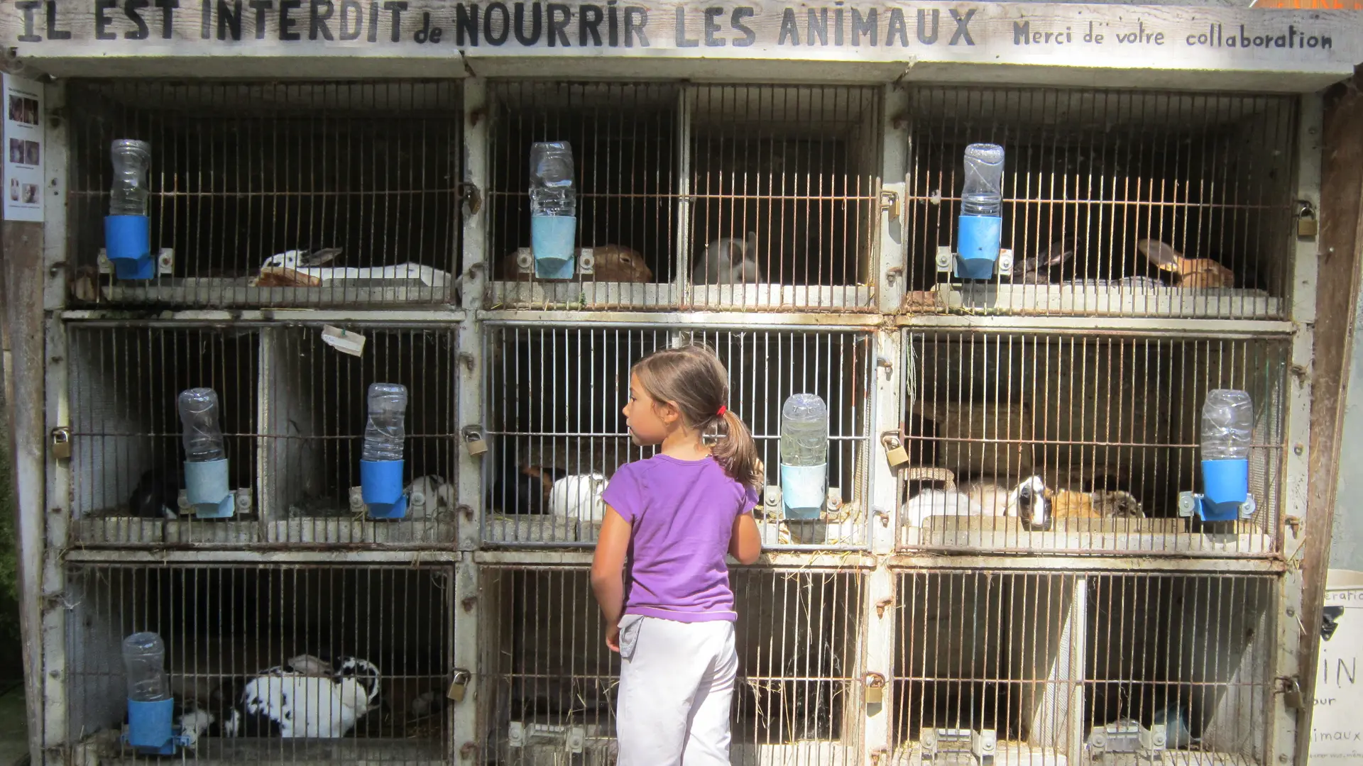 Ferme pédagogique