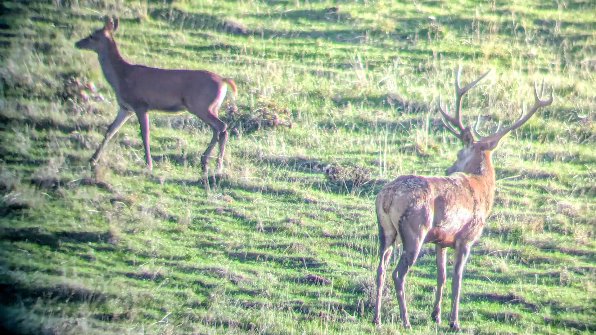 En terrain connu : randonnée