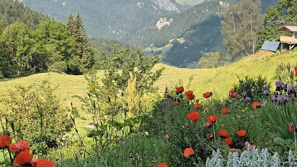 vue Mont-Charvin