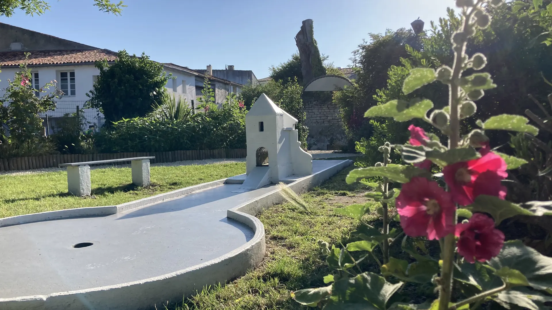 Hollyhock in the mini-golf