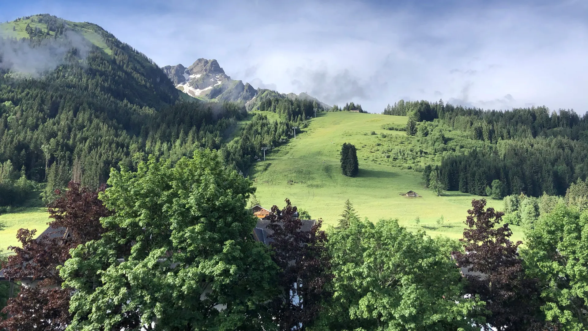 Vue en été