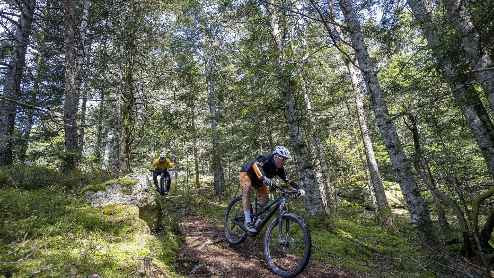 Espace VTT / FFC du Massif des Bois Noirs