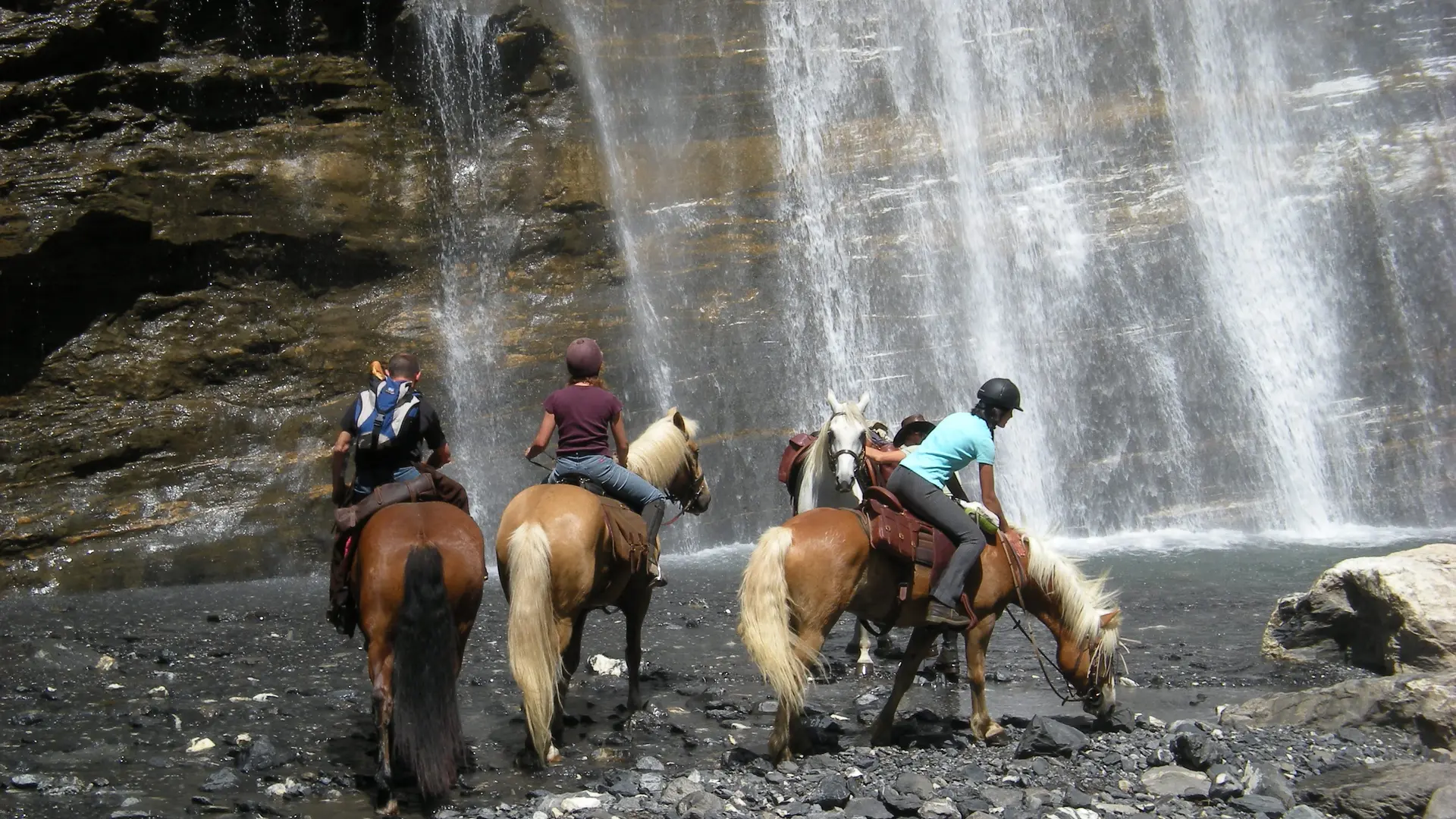 Balade à cheval avec les Paddocks du Mont Blanc