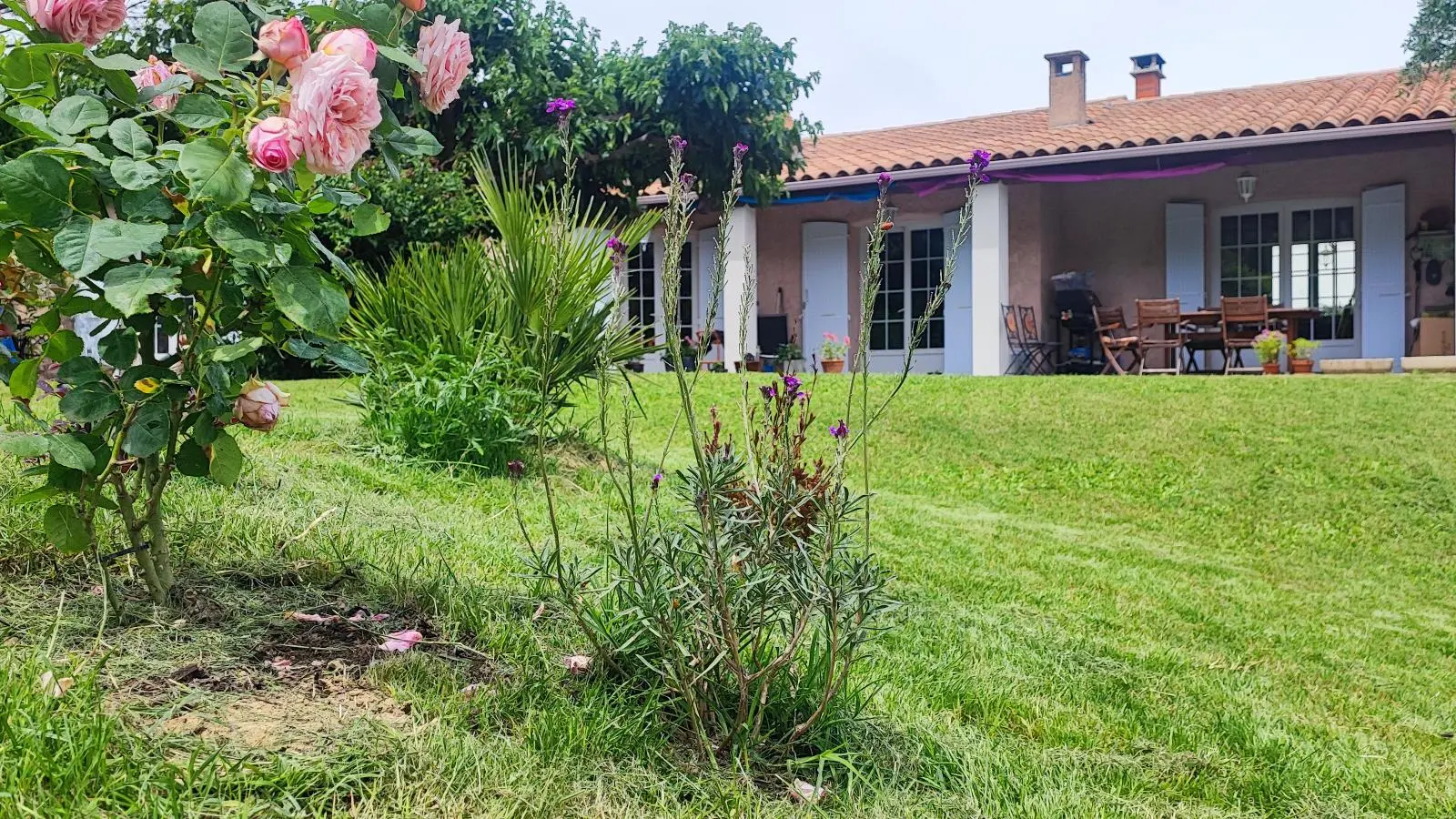 Vue sur la maison