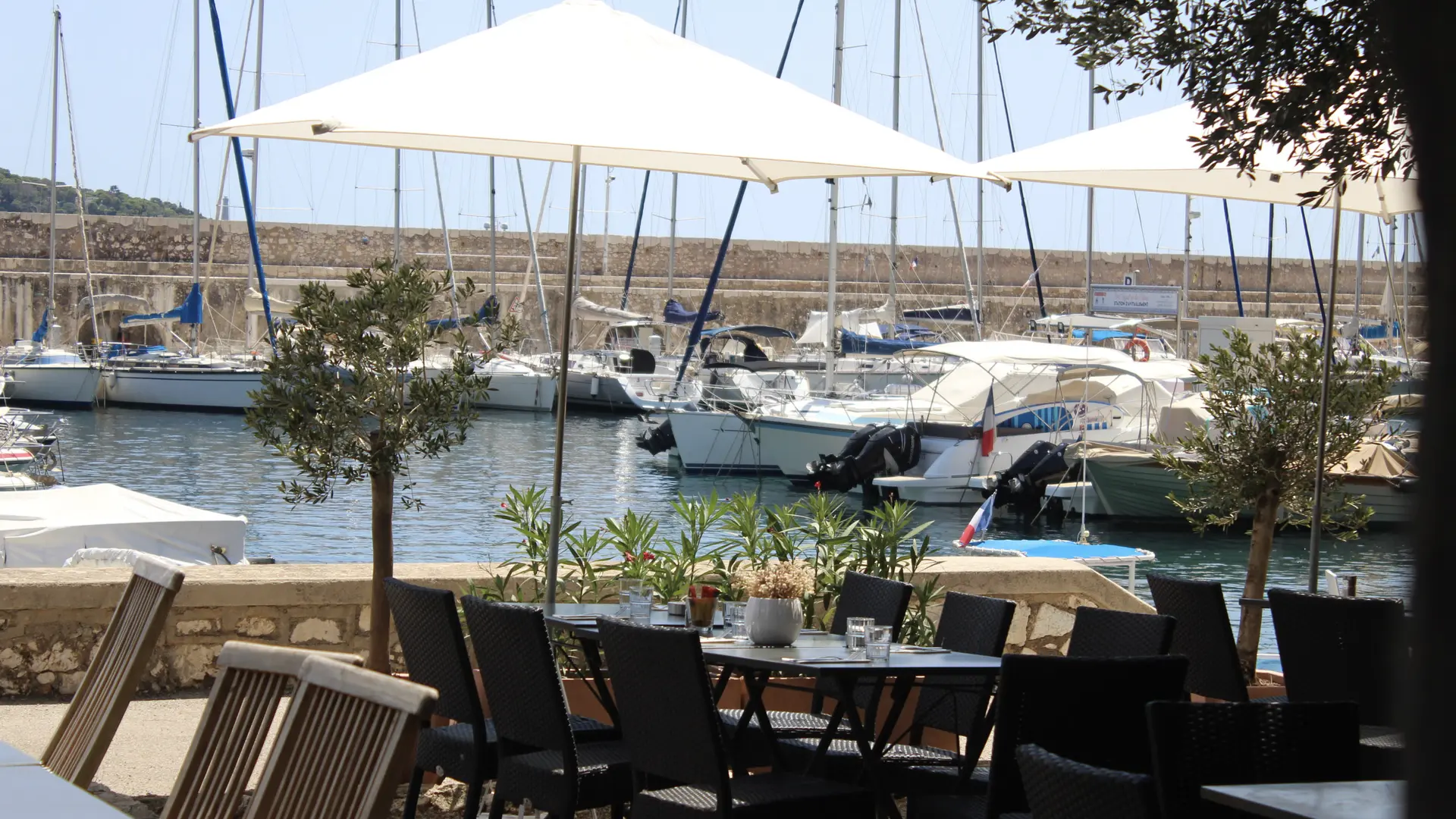 Ancora, restaurant vue mer sur le port de la darse à villefranche sur mer, terrasse, jardin, cuisine méditerranéenne 17.jpg