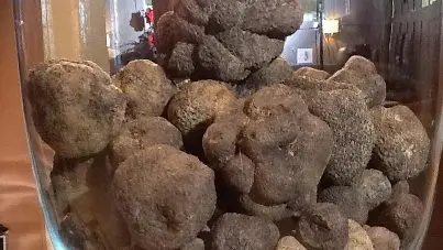 De la truffière à l'assiette en compagnie d'un Chef authentique