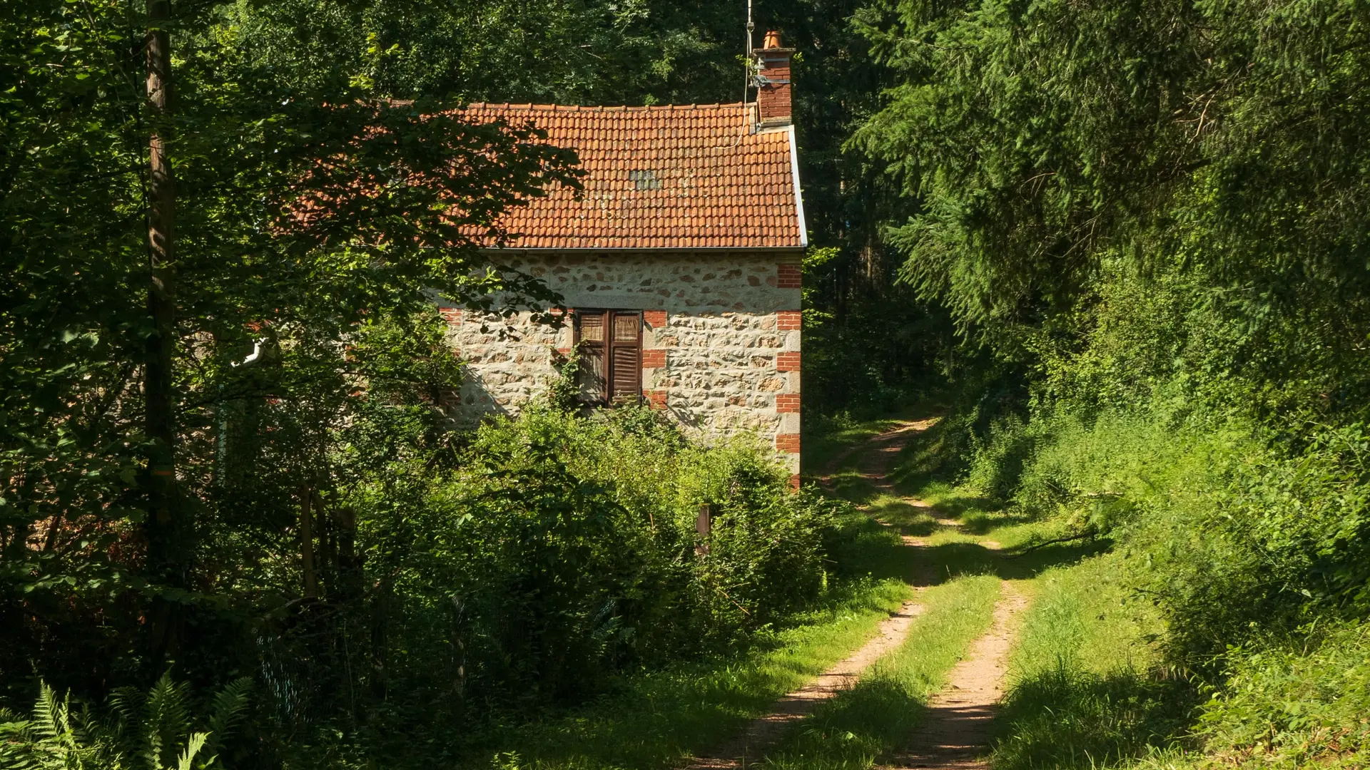 Randonnée du Puy du Roc à Châtel-Montagne