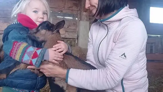 Découverte animaux ferme