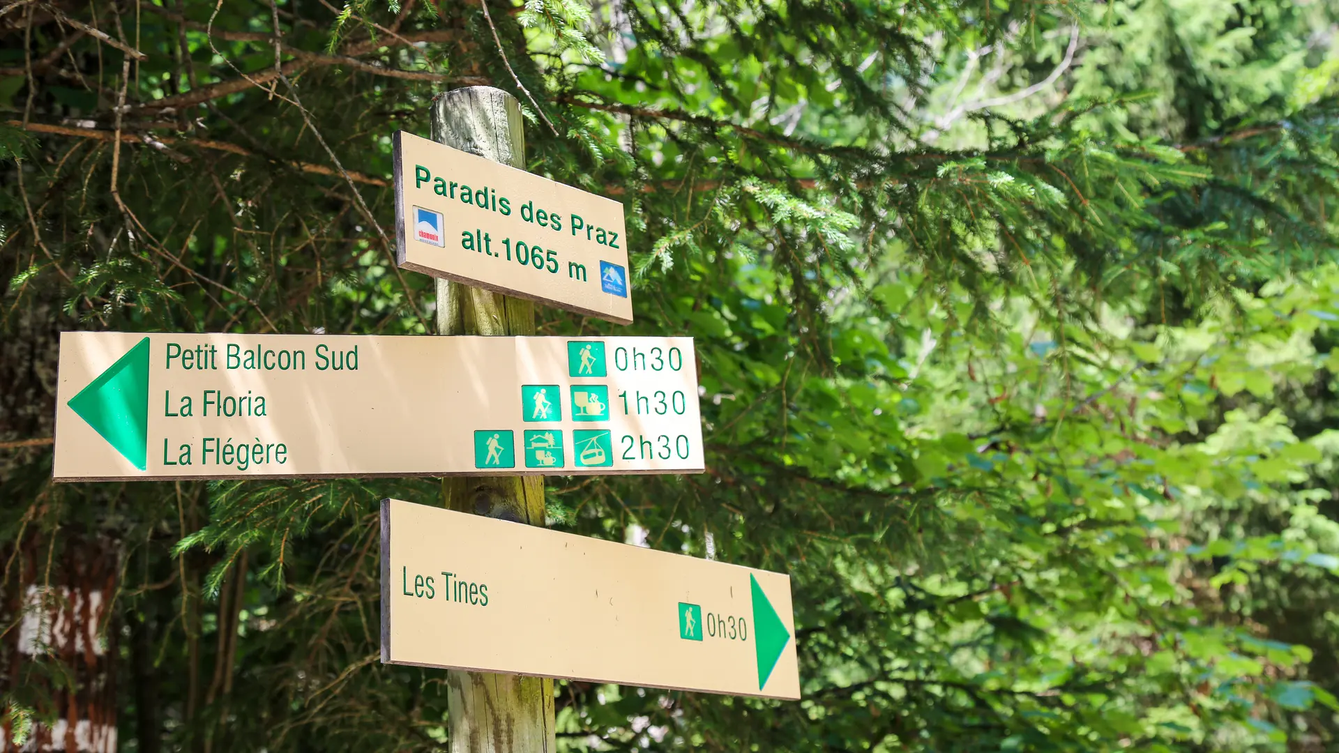Balade Paradis des Praz