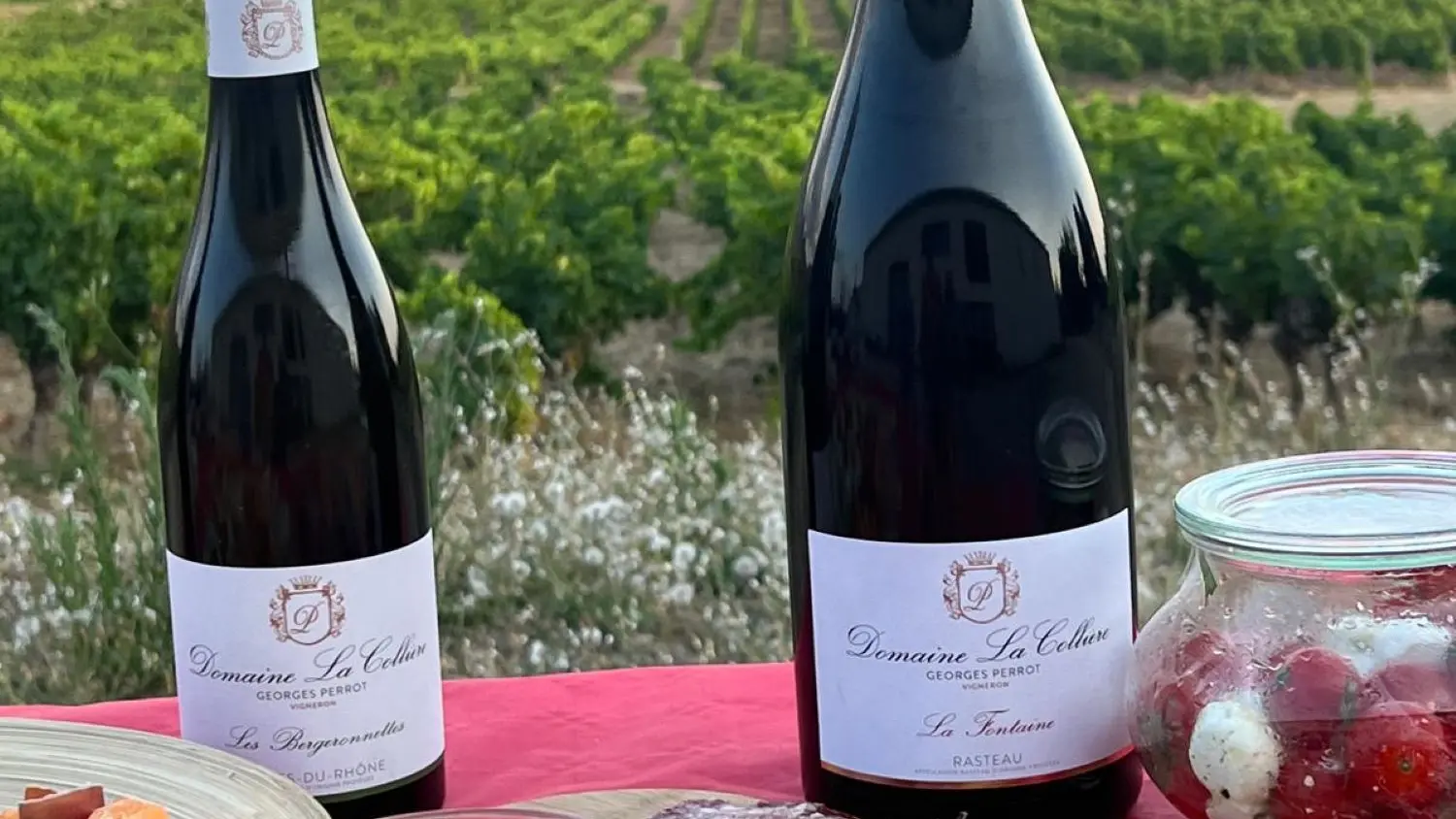 Cuvées du domaine face aux Dentelles de Montmirail