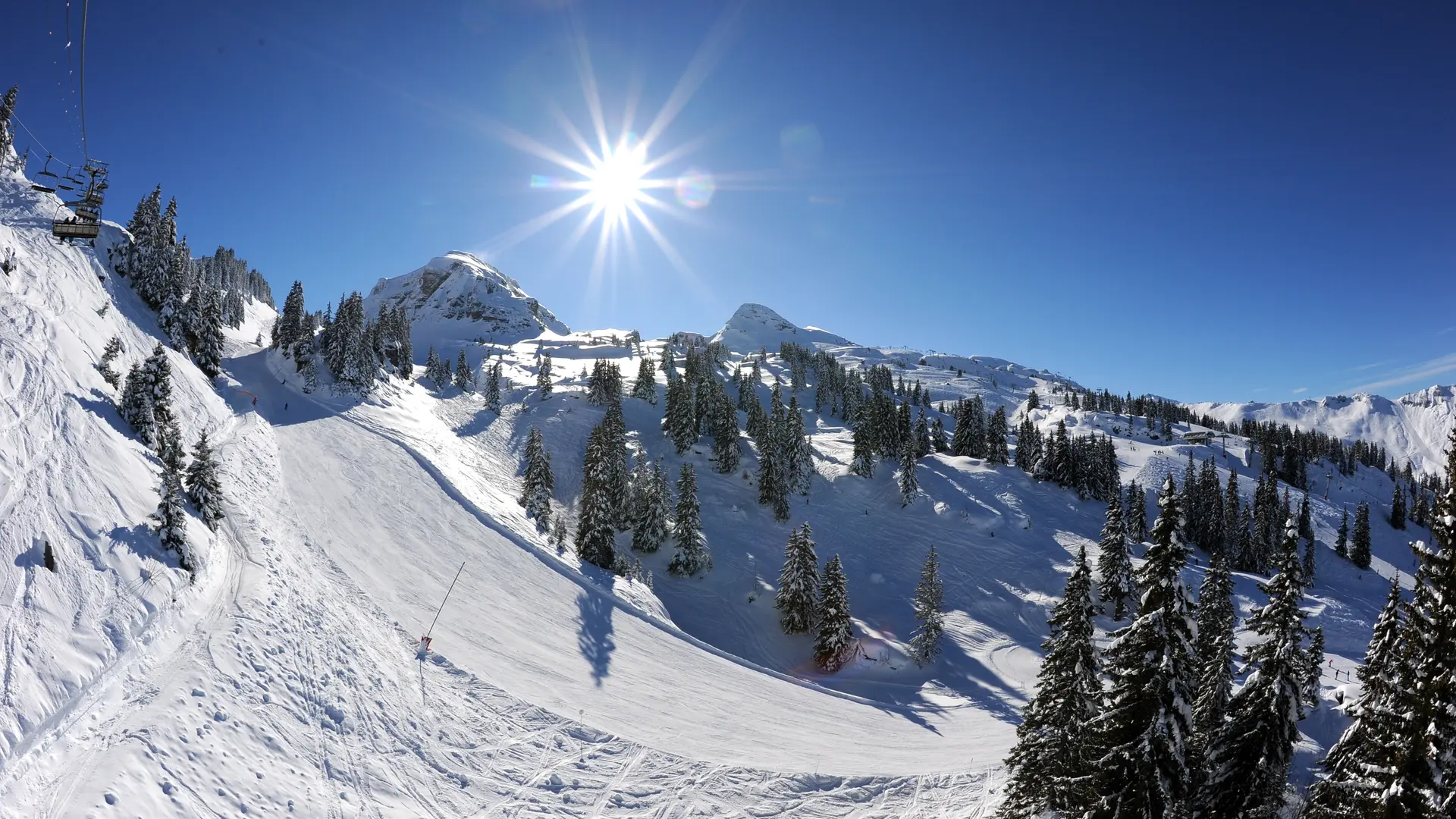 Ski entre les sapins
