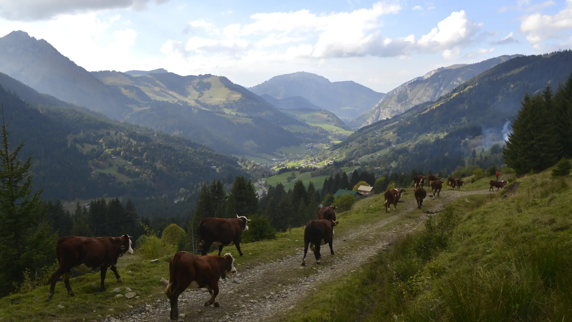 Vue sur Charmy et Abondance