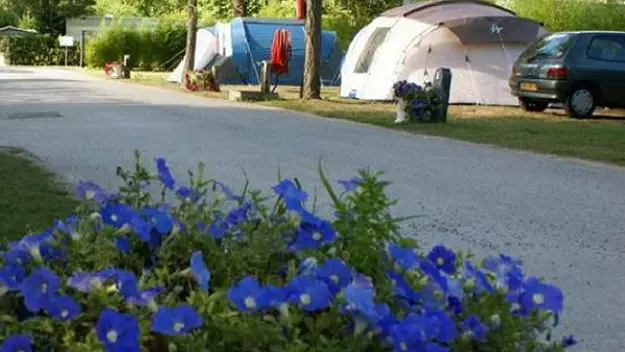 Allée du Puma - Emplacements du camping