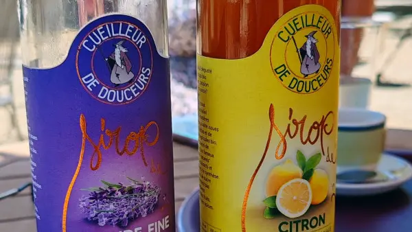 Visit winery and lavender farm