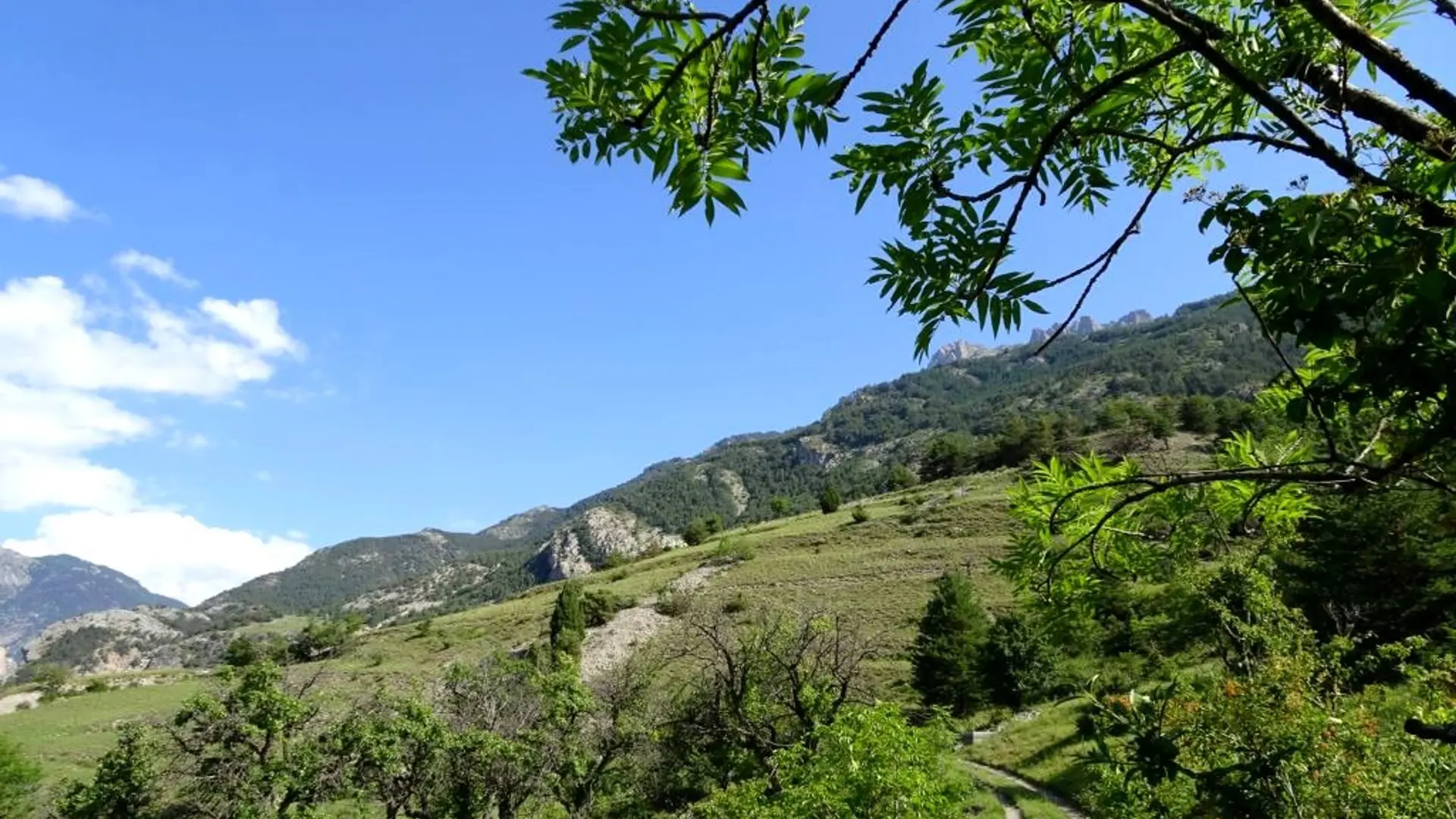 Le long du canal de Serre-Duc