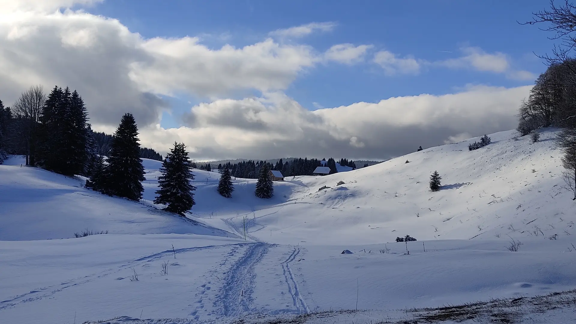 piste du trappeur