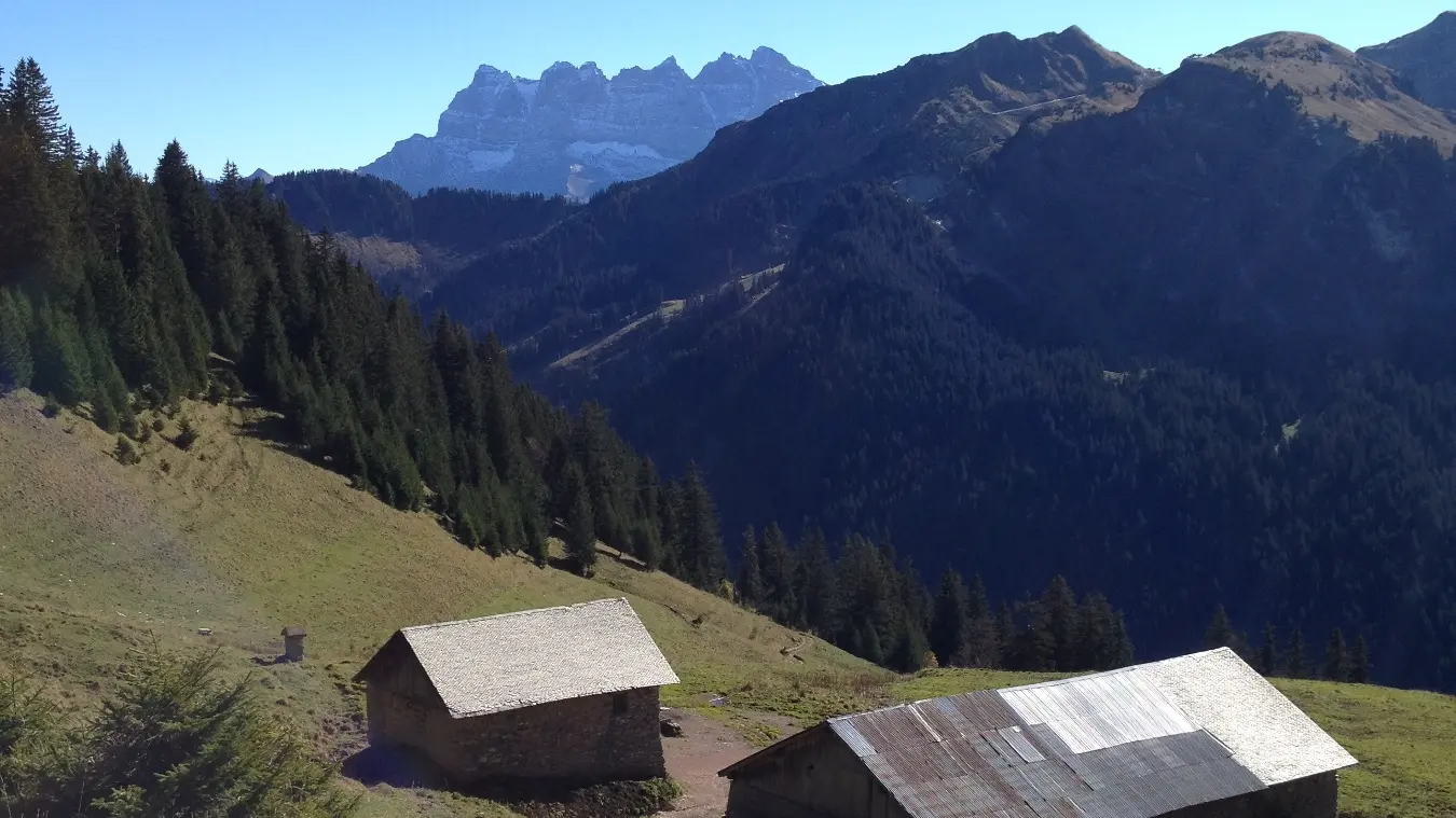 Chalets - Le Pron