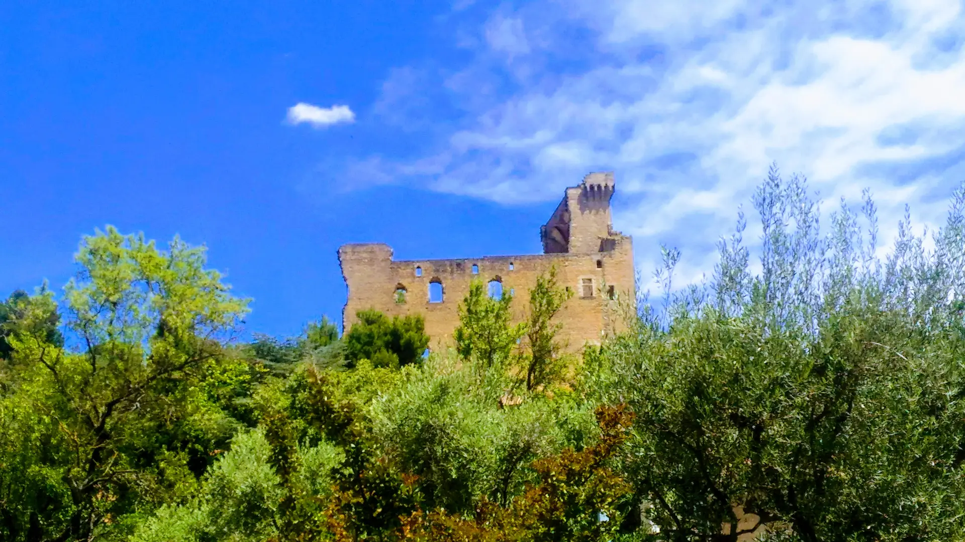 Châteauneuf du Pape - vignes et château