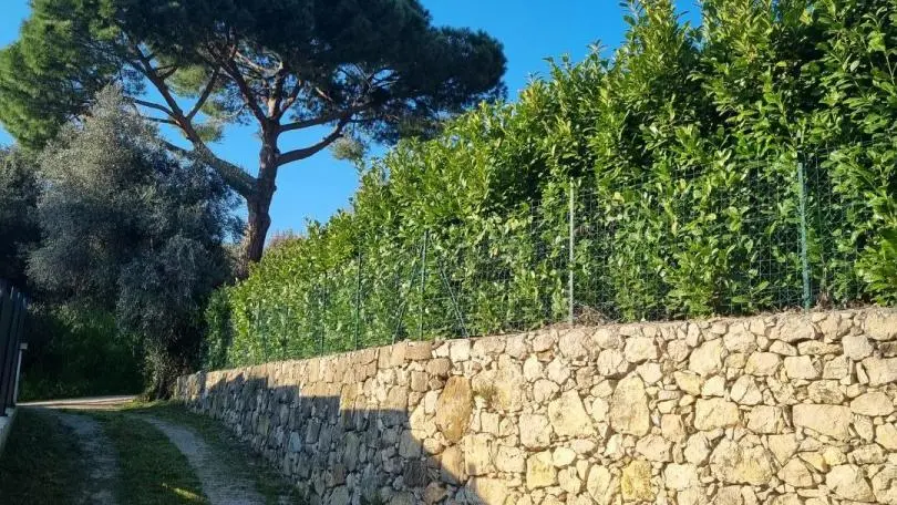 Gîte l'Ombre du Vent-Chemin d'accès-Contes-Gîtes de France Alpes-Maritimes