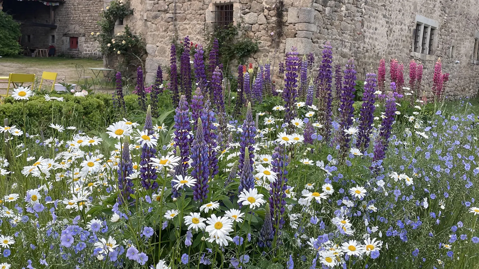 Floraison de printemps au jardin