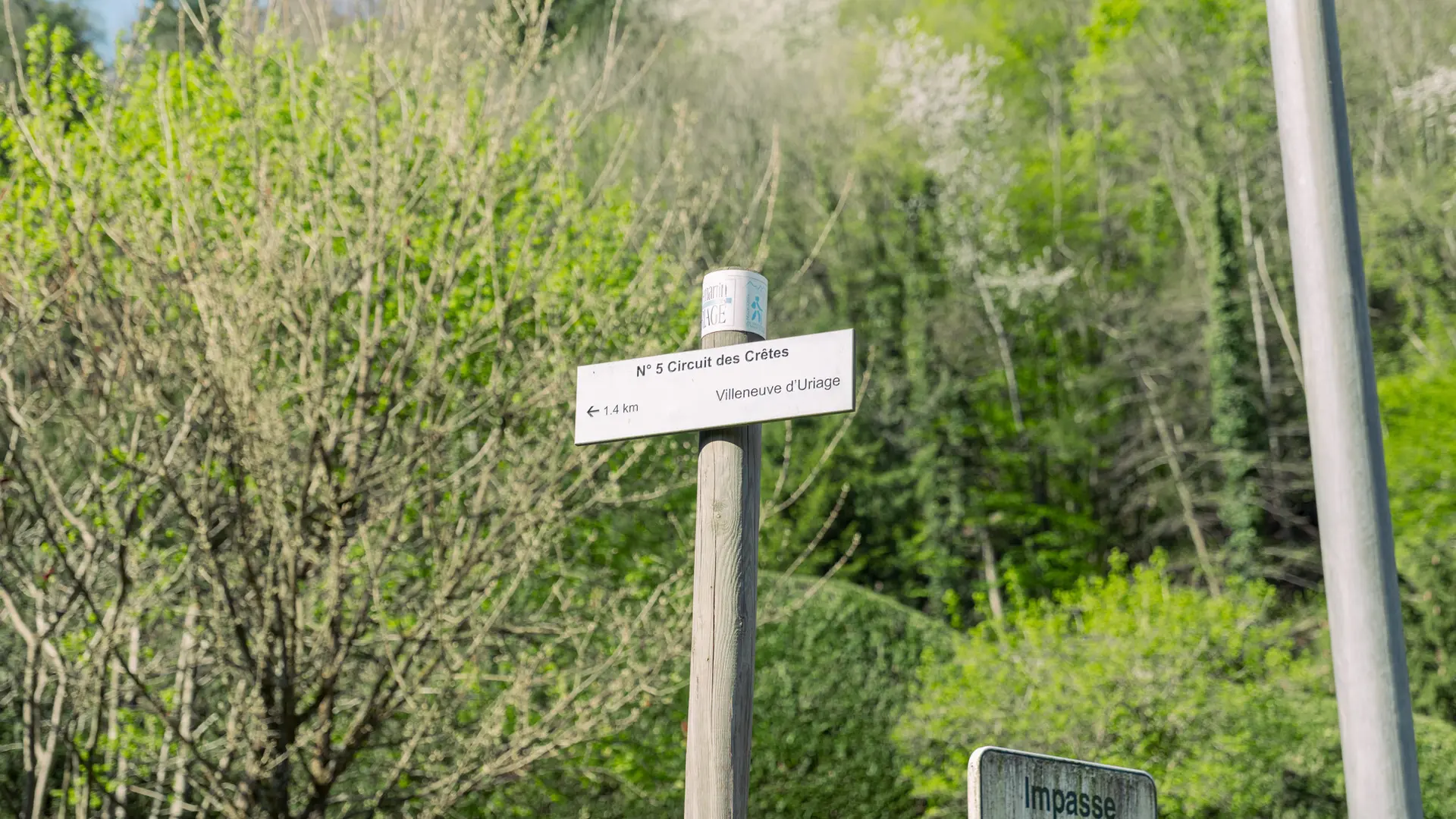 Il s'agit d'un poteau indicateur en bois avec une pancarte rectangulaire blanche portant du texte sombre, placé devant un arrière-plan dominé par une végétation luxuriante et un ciel clair.