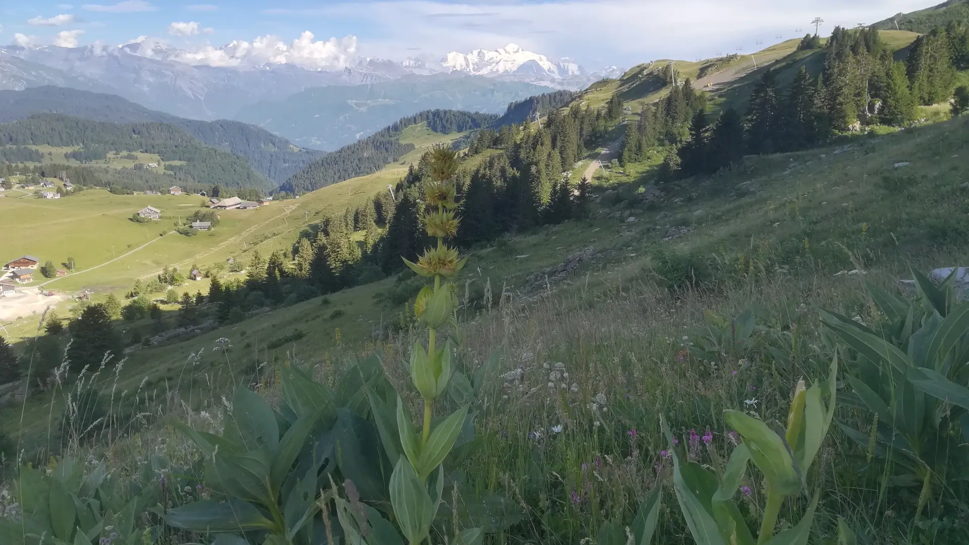 Balade en direction du Lac de Roy