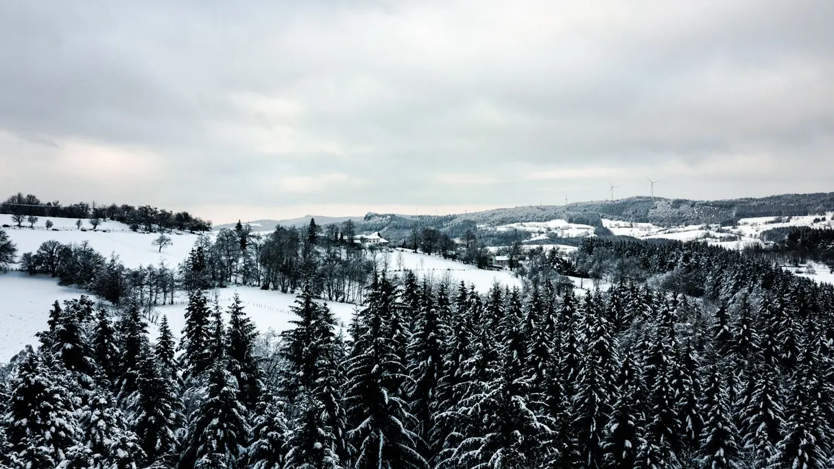 Saint-Nicolas-des-Biefs