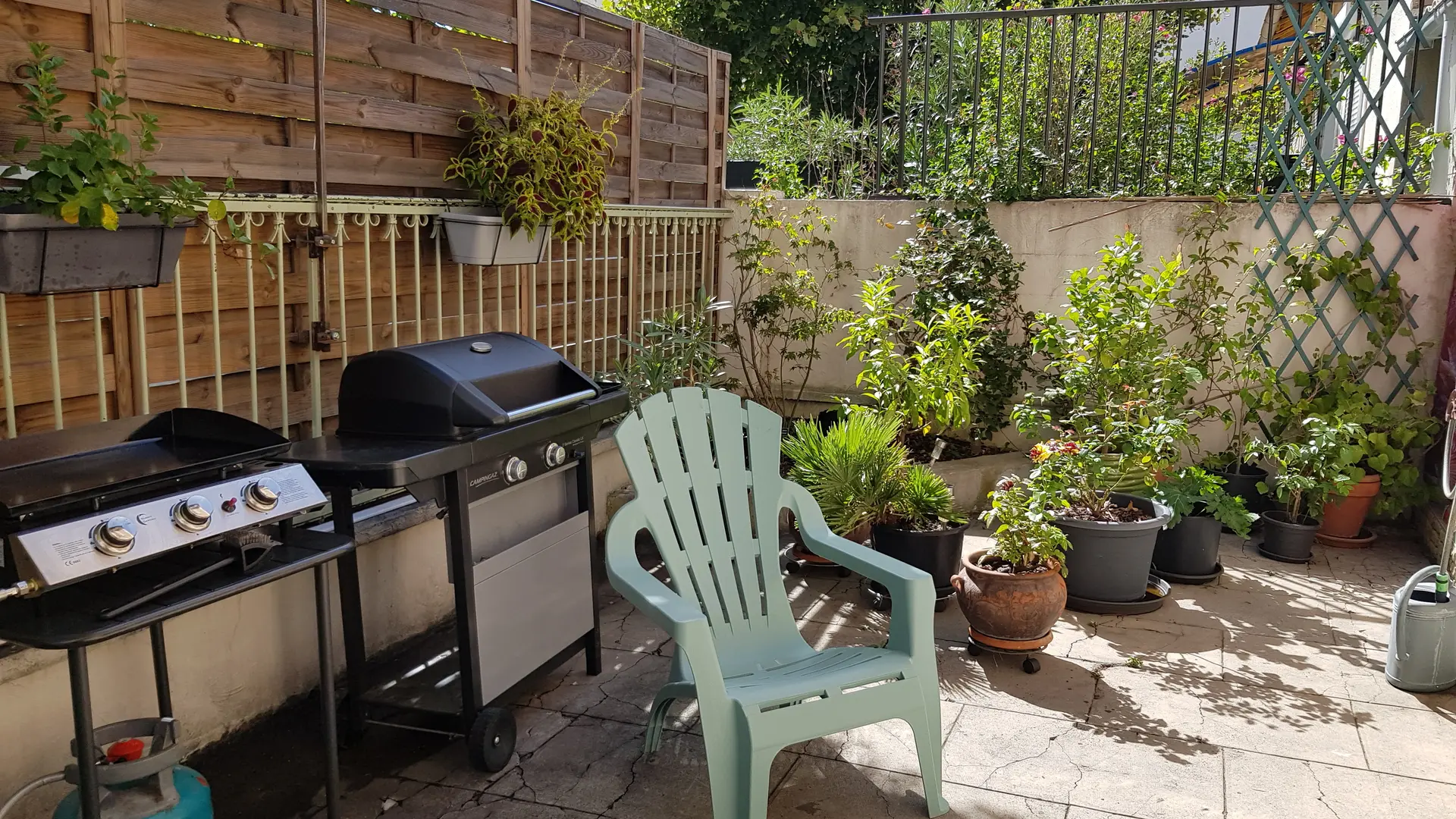 Barbecue et plancha