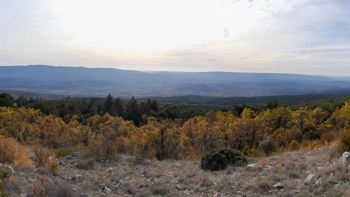 Vue vers le sud depuis le Cluyer