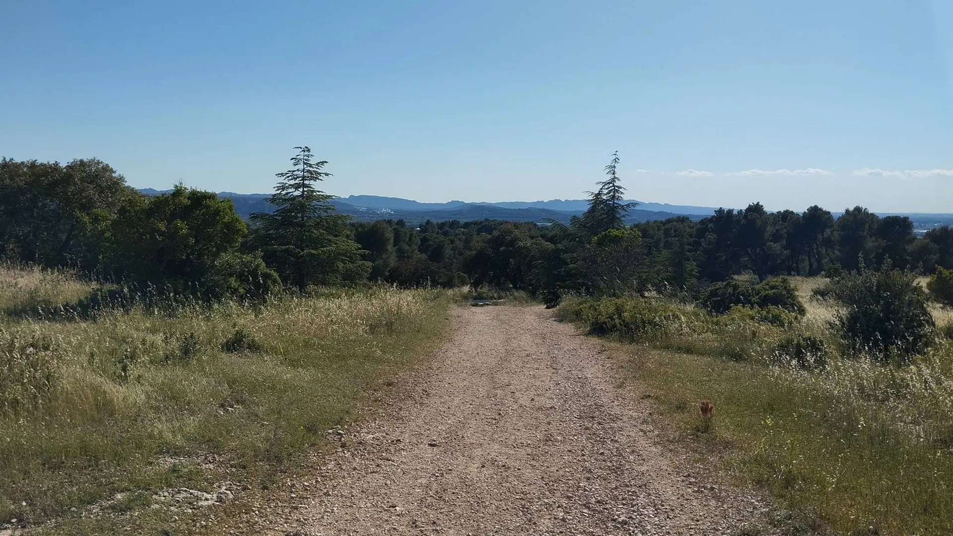 Chemin de Pied Caud et massif des Alpilles