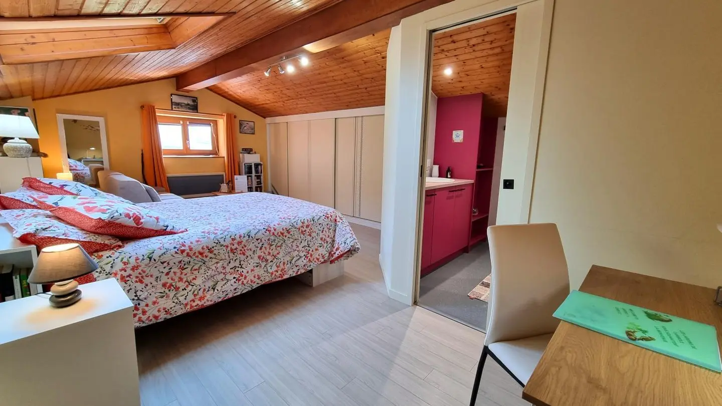 La chambre Les Mésanges se  compose d'un lit 160x200cm et d'une salle d'eau attenante et privative. Un canapé-lit 140x180 est mis à disposition pour offrir un couchage d'appoint sur réservation.
