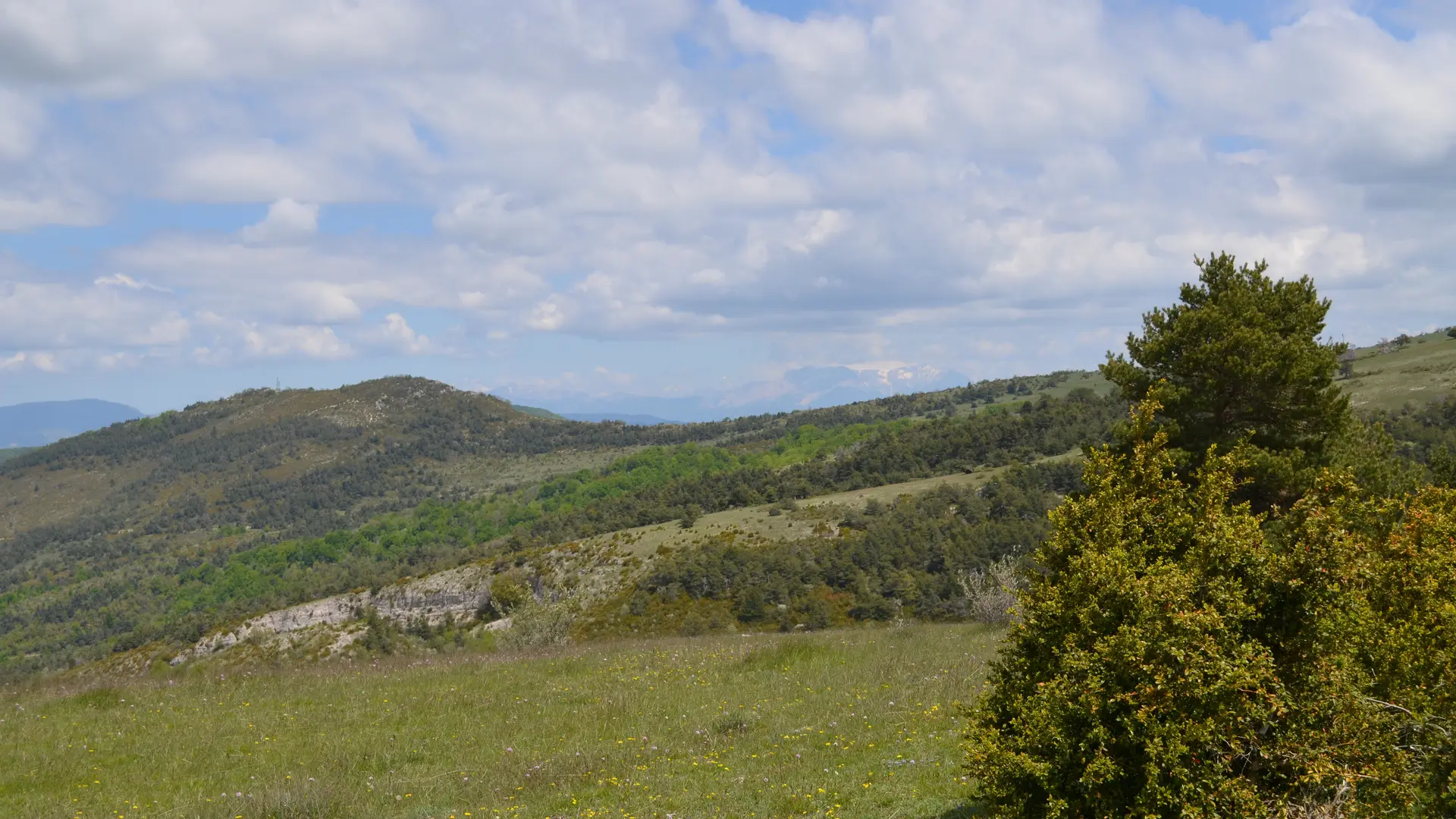 Crêtes de la montagne de Chabre