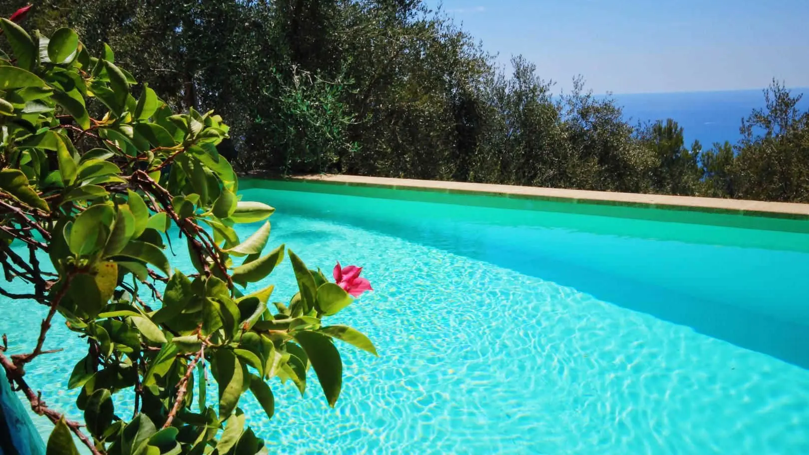 Chambre d hôte Domaine Pins Paul-Piscine- Eze-Gîtes de France Alpes-Maritimes