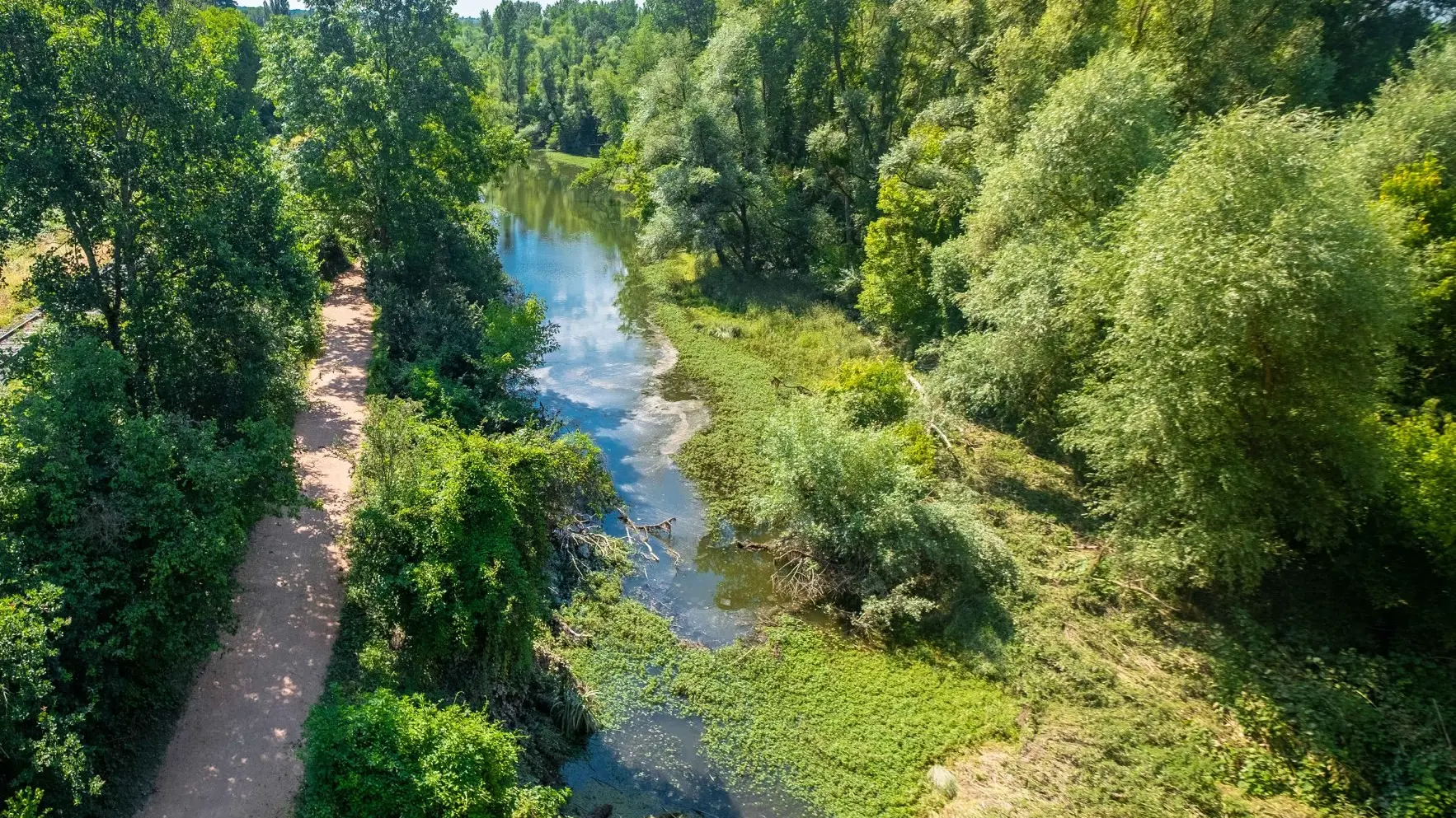 Les bords de l'Allier à Abrest
