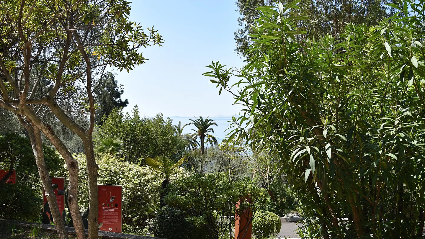 Le parc aux abords de la grotte