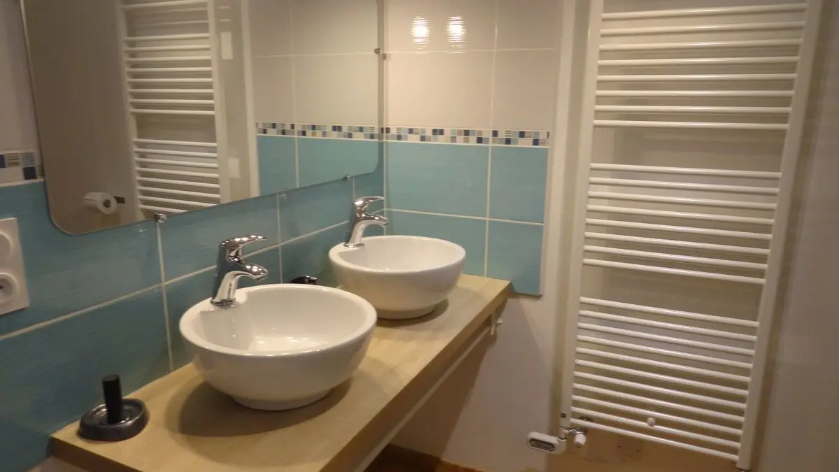 Ferme Passion - Chambre Dombes - salle d'eau-WC