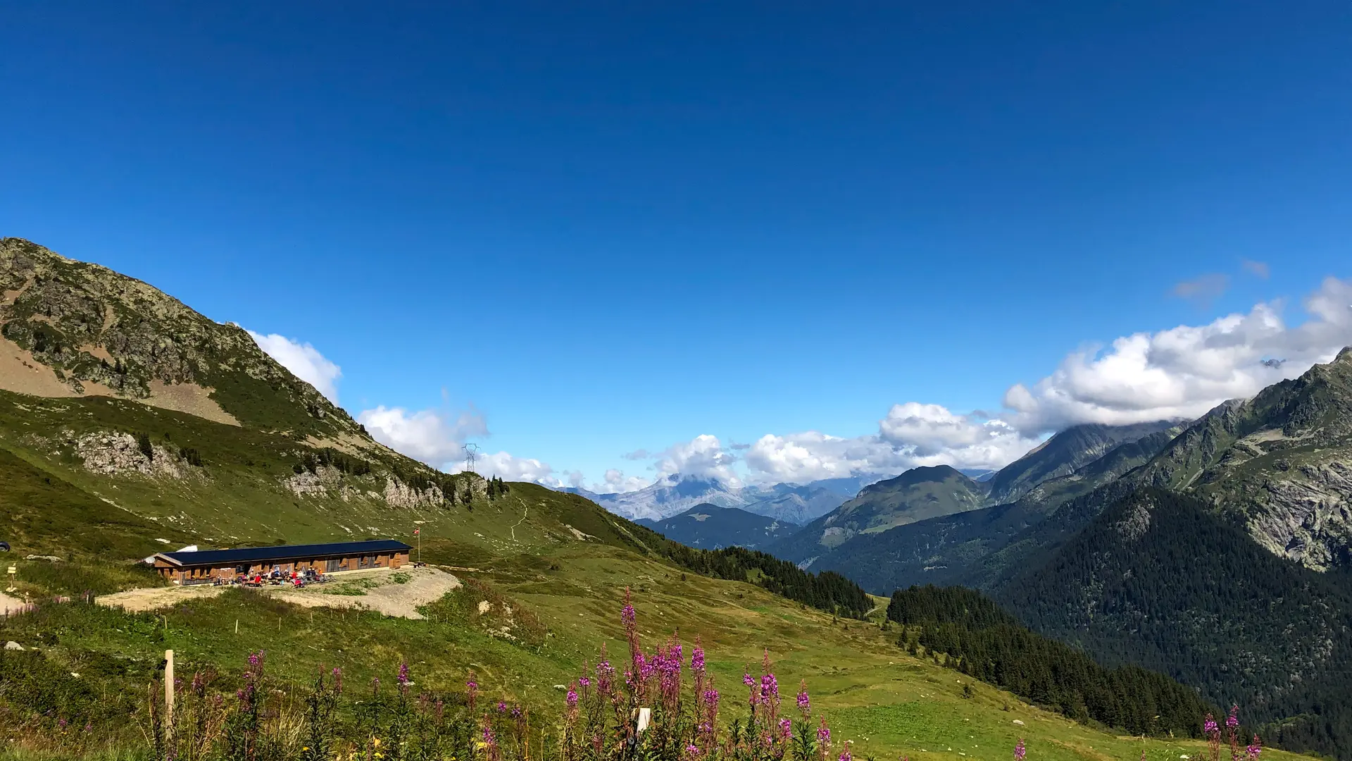 Le refuge des prés aux Contamines, superbe randonnée face au Mont Blanc, au coeur de la réserve naturelle des Contamines