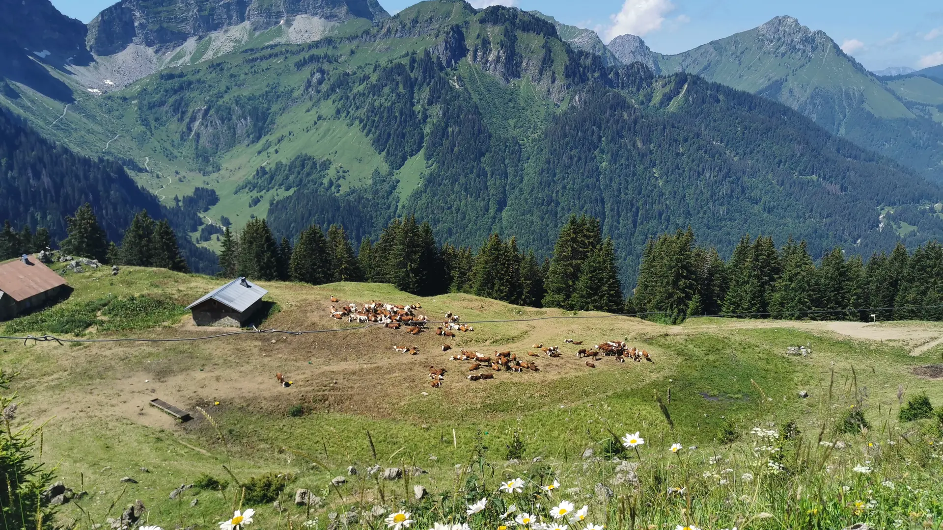 Chalets du Jouly