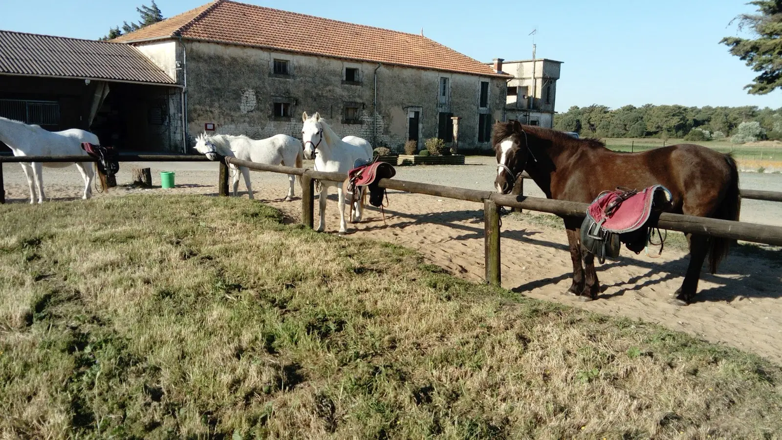 Haras des Evières