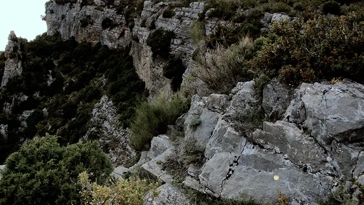 herman de vries, point, 2004-2006, Collection musée Gassendi