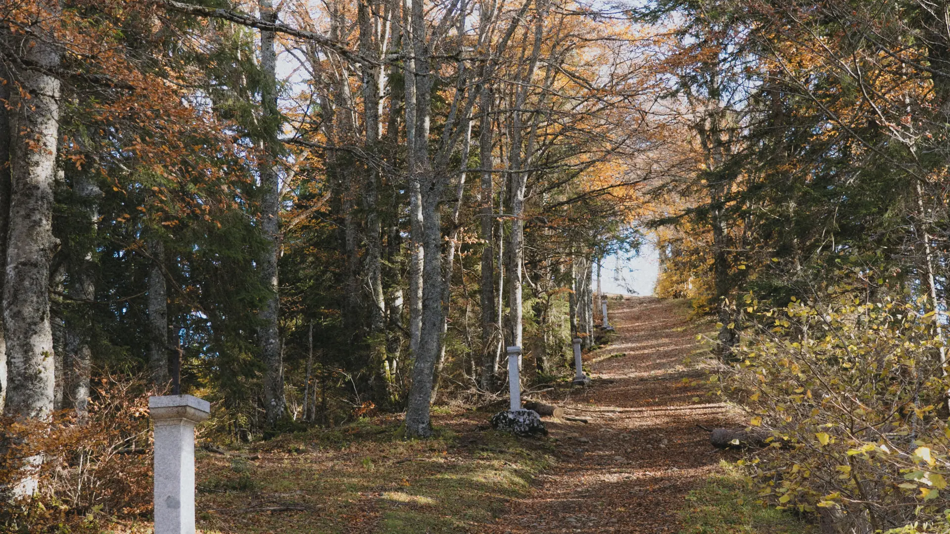 Le calvaire en automne