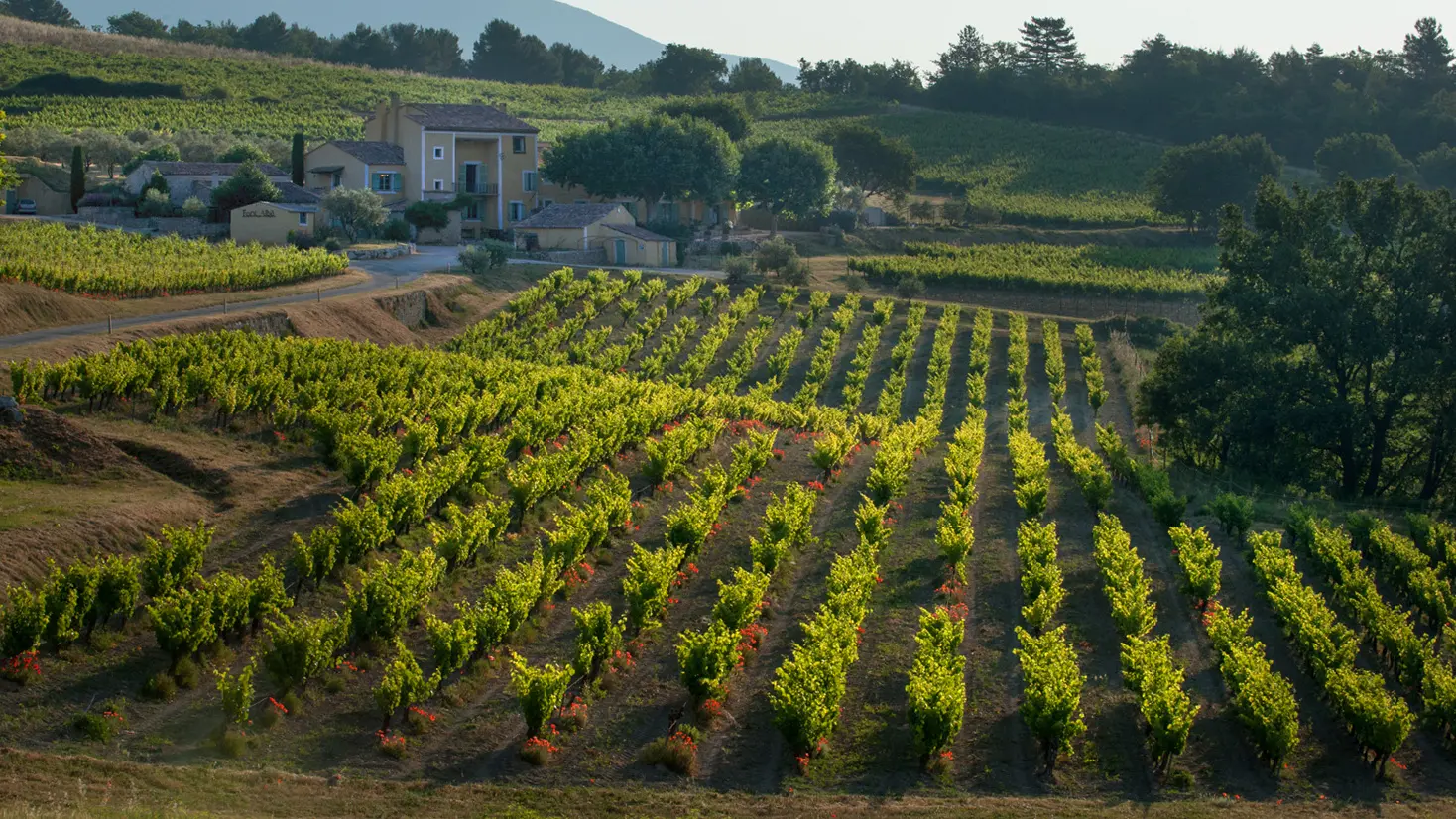 Château Font Alba